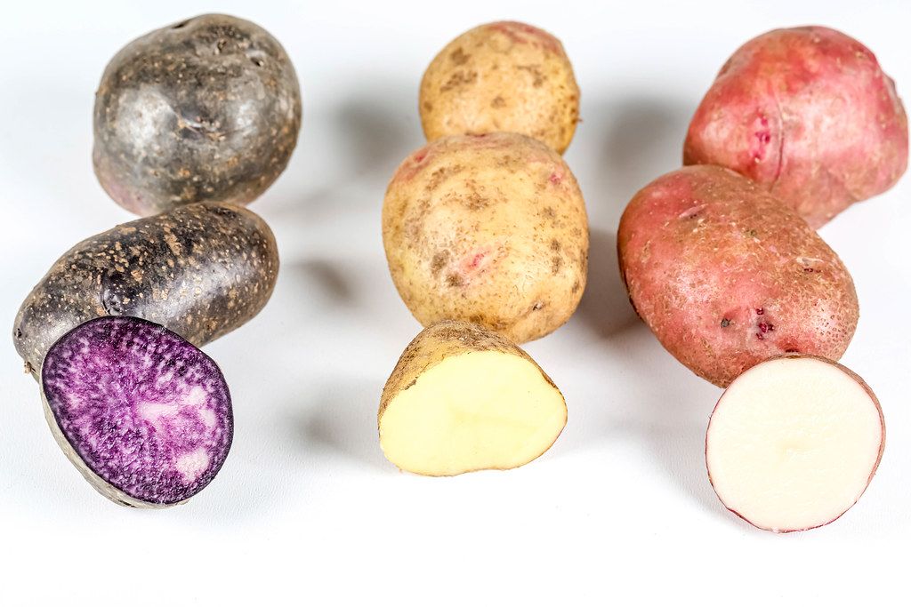 Red, yellow and purple potato varieties