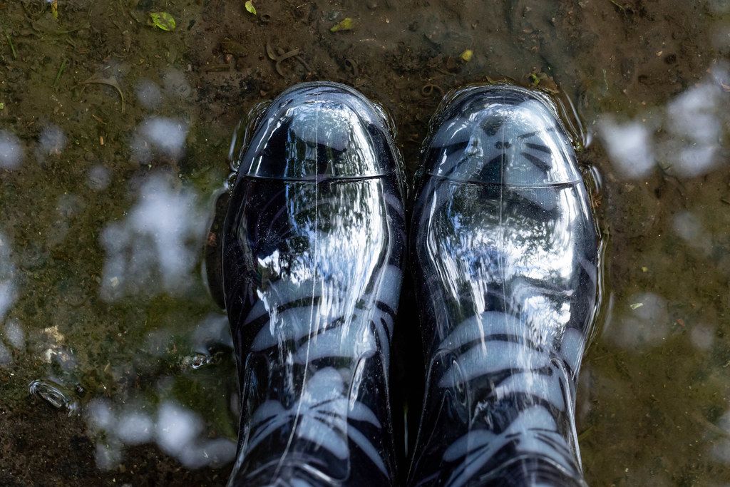 Rubber boots in a puddle, top view