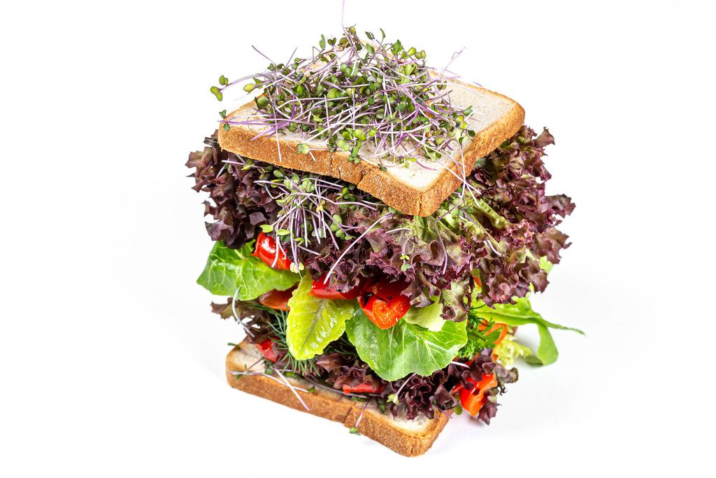 Sandwich with vegetables, lettuce and microgreens on a white background. Vegetarian food