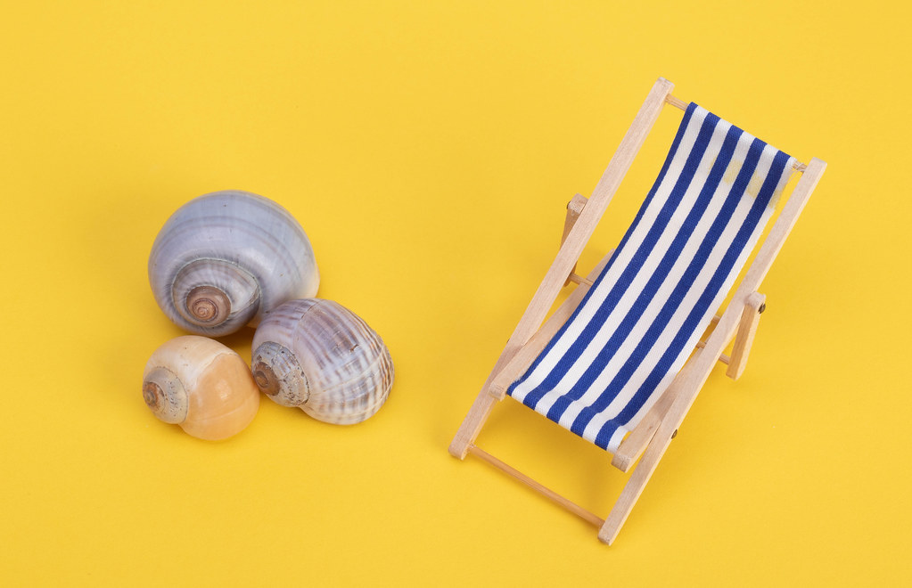 Sea shells with deck chair on yellow background