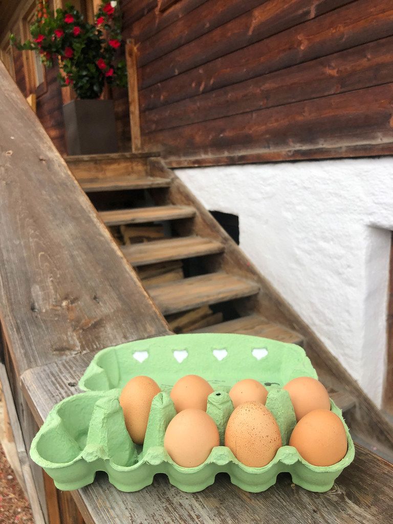 Seven fresh eggs in a carton, bought directly from the farmer in the Alps in Tyrol, Austria