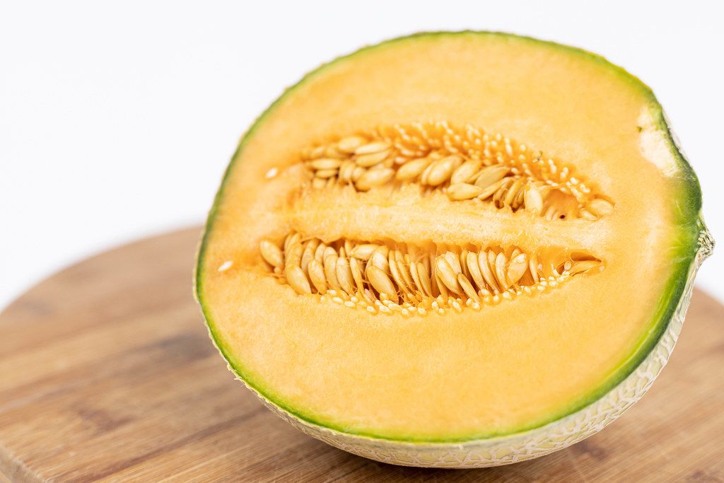 Sliced Melon with copy space above white background