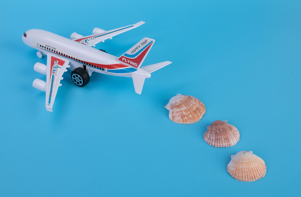 Small airplane with sea shells on blue backgound