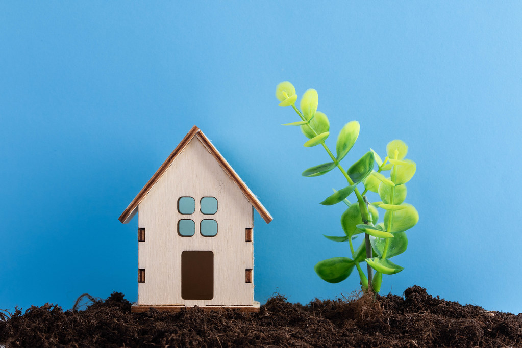 Small house and plant on soil with blue background