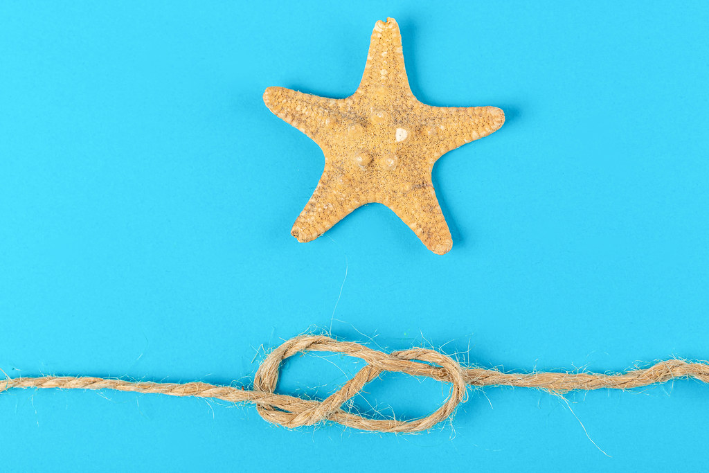 Starfish and sea knot on blue background