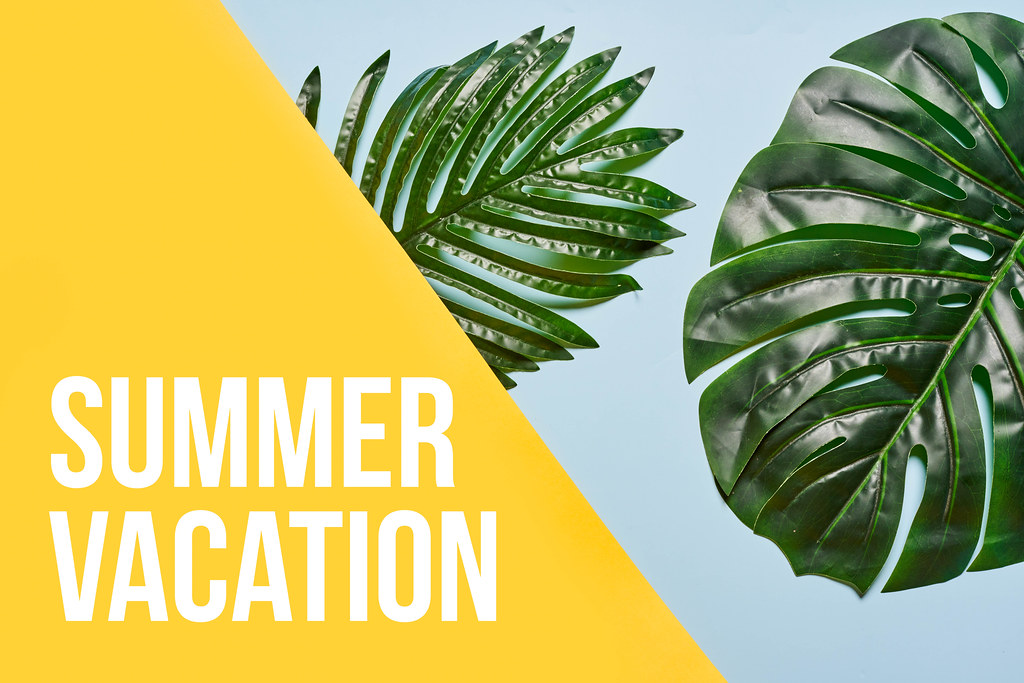 Summer vacation concept with tropical palm leaves