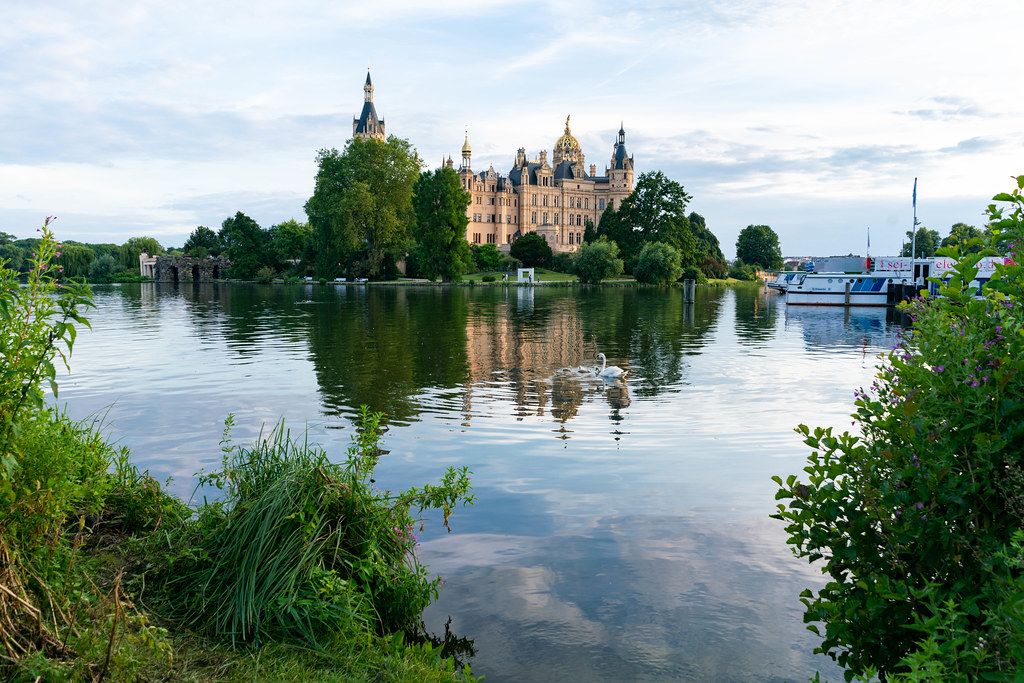 Swans in front of the Schwerin castle with reflection in the water