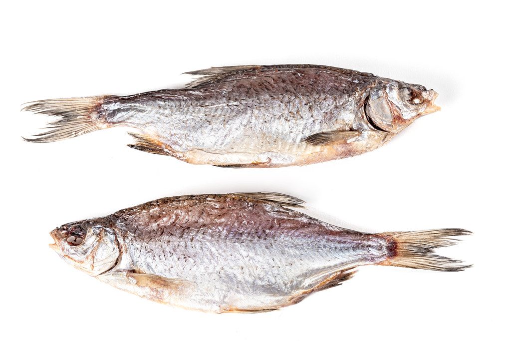 Two dried fish roach on a white background