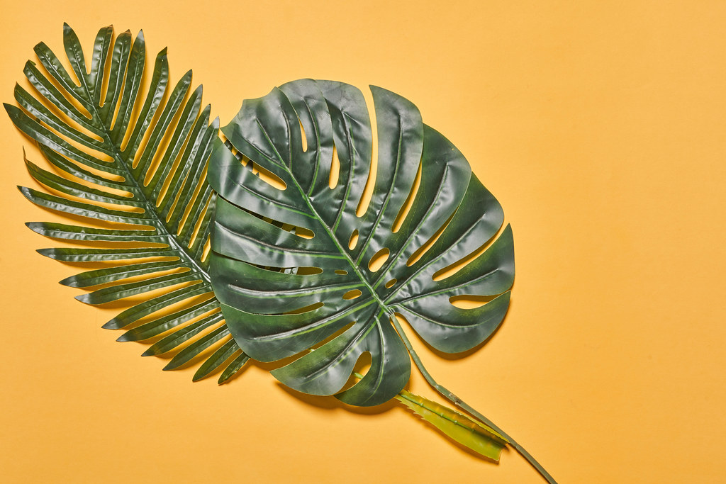 Two tropical palm tree leaves on pastel orange backdrop