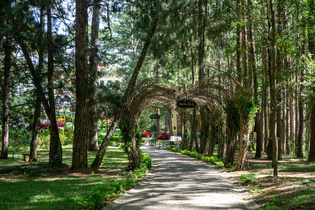 Walkway in a Park through a Heart Shaped Arch made from Tree Branches at the Bao Dai King Palace in Da Lat, Vietnam
