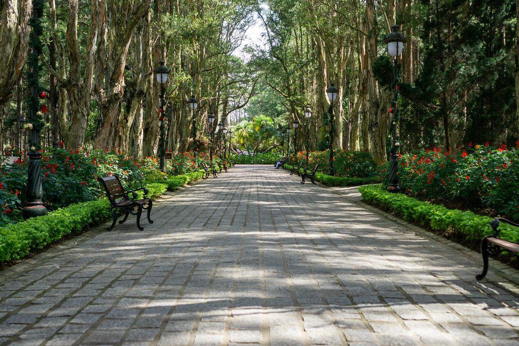 Walkway in a Park with Wooden Benches, Street Lights, Trees and Plants at the Bao Dai King Palace in Da Lat, Vietnam