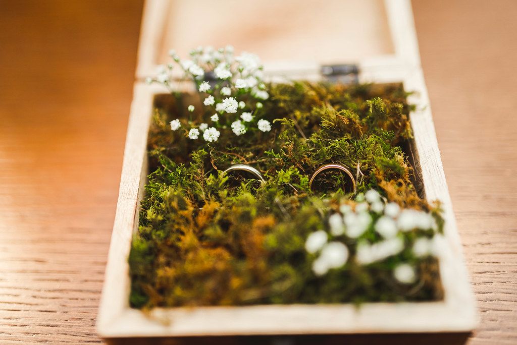 Wedding Rings In The Moss And Wooden Box