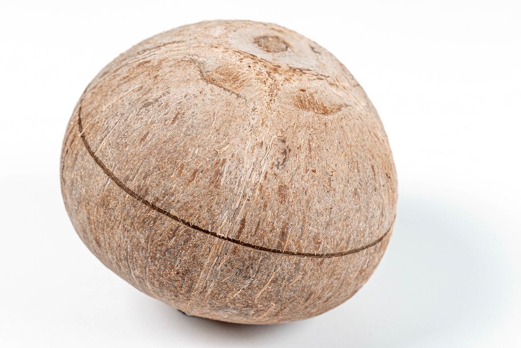 Whole tropical coconut on a white background