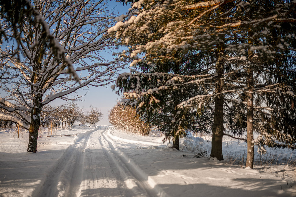 Winter Countryside  Road Landscape Sunny Day