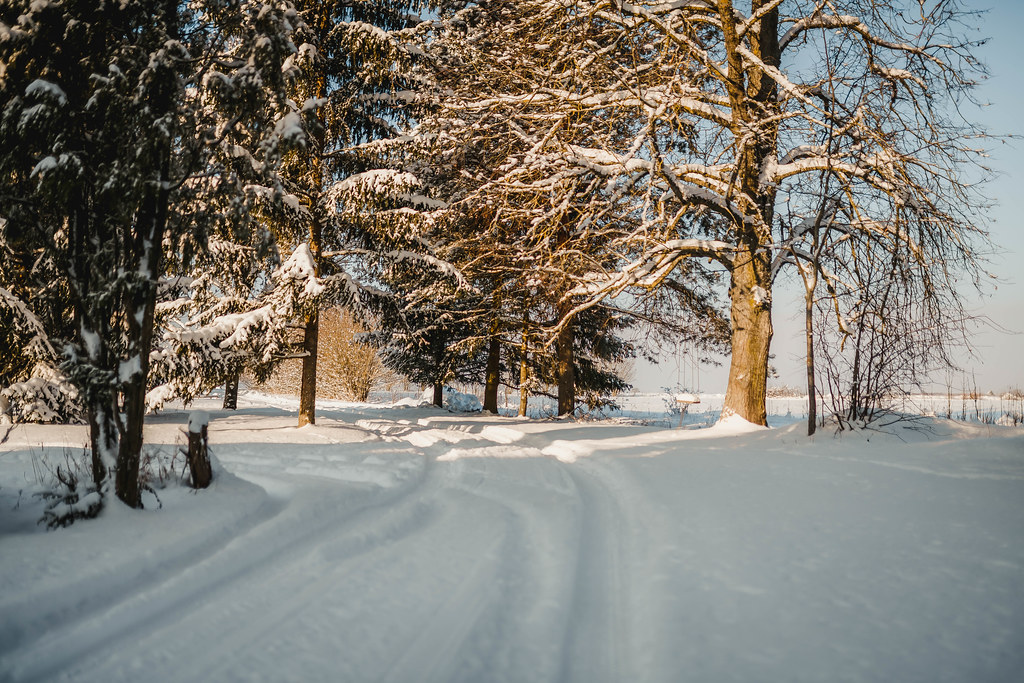 Winter Landscape Of Snowy Road