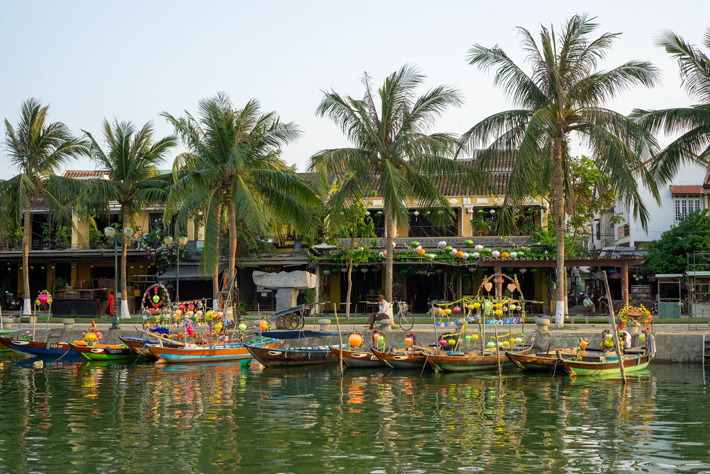 Wooden Rowing Boats decorated with Colorful Lanterns for Tourists on Thu Bon River with Palm Trees, Restaurants and Shops in the Background in Hoi An, Vietnam