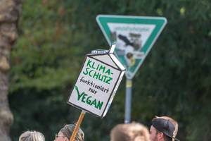 "Klimaschutz funktioniert nur Vegan": Demoschild bei der Klimademo fordert vegan Ernährungsumstellung