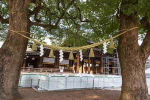 "Verheiratete Bäume" im Meiji Jingu Shrine