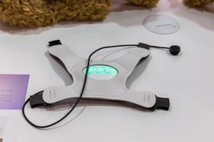 "World’s first dogs mental visualizer based on heart rate monitoring" by Inpuathy