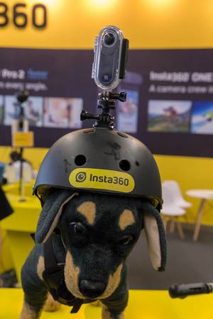 360 Grad Kamera von Insta360 auf einem Plüsch Hund mit Action Helm montiert