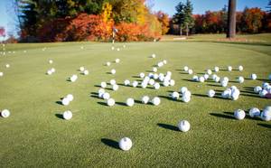 A bunch of golfballs on the putting green on a golf course at a sunny day