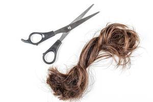 A bundle of cut hair with scissors on a white background. Haircut, change concept (Flip 2020)