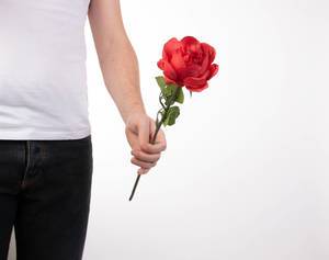 A man hand with red rose flower