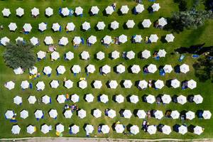 Aerial view of white parasols in several rows on a green meadow