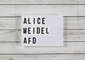 Alice Weidel und die AfD: Wie lange halten sie es noch zusammen aus?