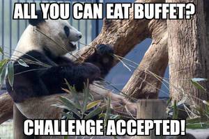 All you can eat buffet? Challenge accepted!