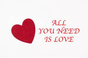 All you need is love text with red heart