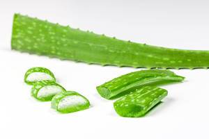Aloe Vera fresh leaves and pieces on a white background (Flip 2020)