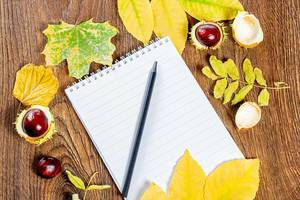 An empty notebook and a black pencil on a brown wooden background with yellow leaves and chestnuts