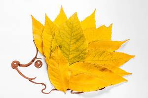 Applique-hedgehog-made-of-autumn-yellow-leaves.jpg