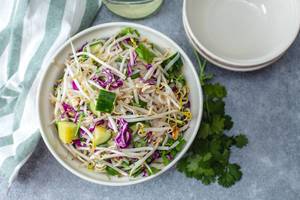Asia-Salat mit Sprossen, Gurkenstücken und grünen Kräutern