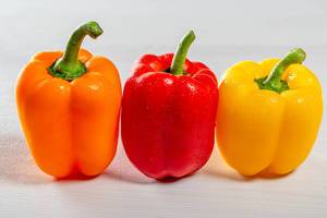 Assortment of multi-colored bell peppers