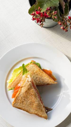 Aufsicht - Sandwichecken mit geräuchtertem Lachs, Tomate und Salat auf einem weißen Teller