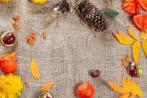 Autumn frame on burlap with free space. Concept Halloween, thanksgiving, autumn holidays