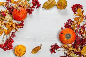 Autumn frame with colorful leaves, pumpkin and viburnum berries on a white wooden background