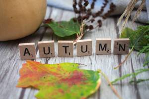 autumn Letters with leafs in the Background