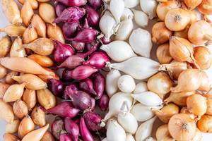 Background of different varieties of small onions