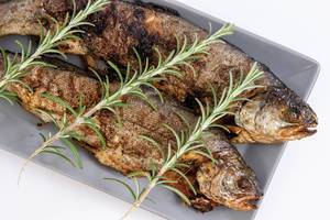 Baked Trout fish on the plate with Rosemary