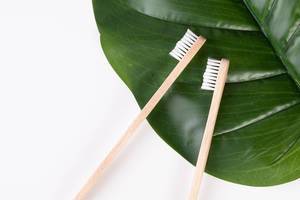 Bamboo toothbrushes with tropical leaf (Flip 2019)