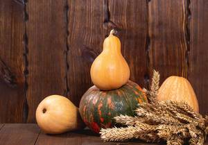 Beautiful pumpkins and wheat spikelets on old wooden background