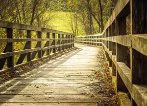 Beautiful wooden bridge