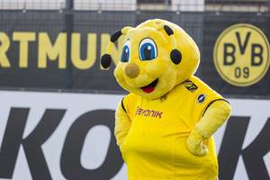 Biene Emma Maskottchen des BVB fröhlich am Spielfeldrand