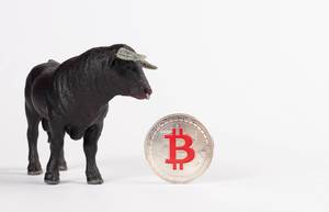 Big black bull with silver Bitcoin on white background