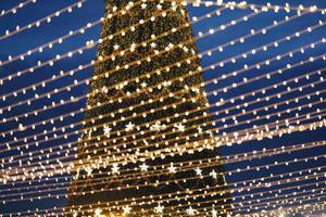 Big outdoor Christmas tree seen through street lights