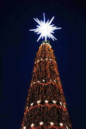 Big star on top of Christmas tree, night view outdoors (Flip 2019)