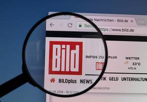 Bild logo on a computer screen with a magnifying glass